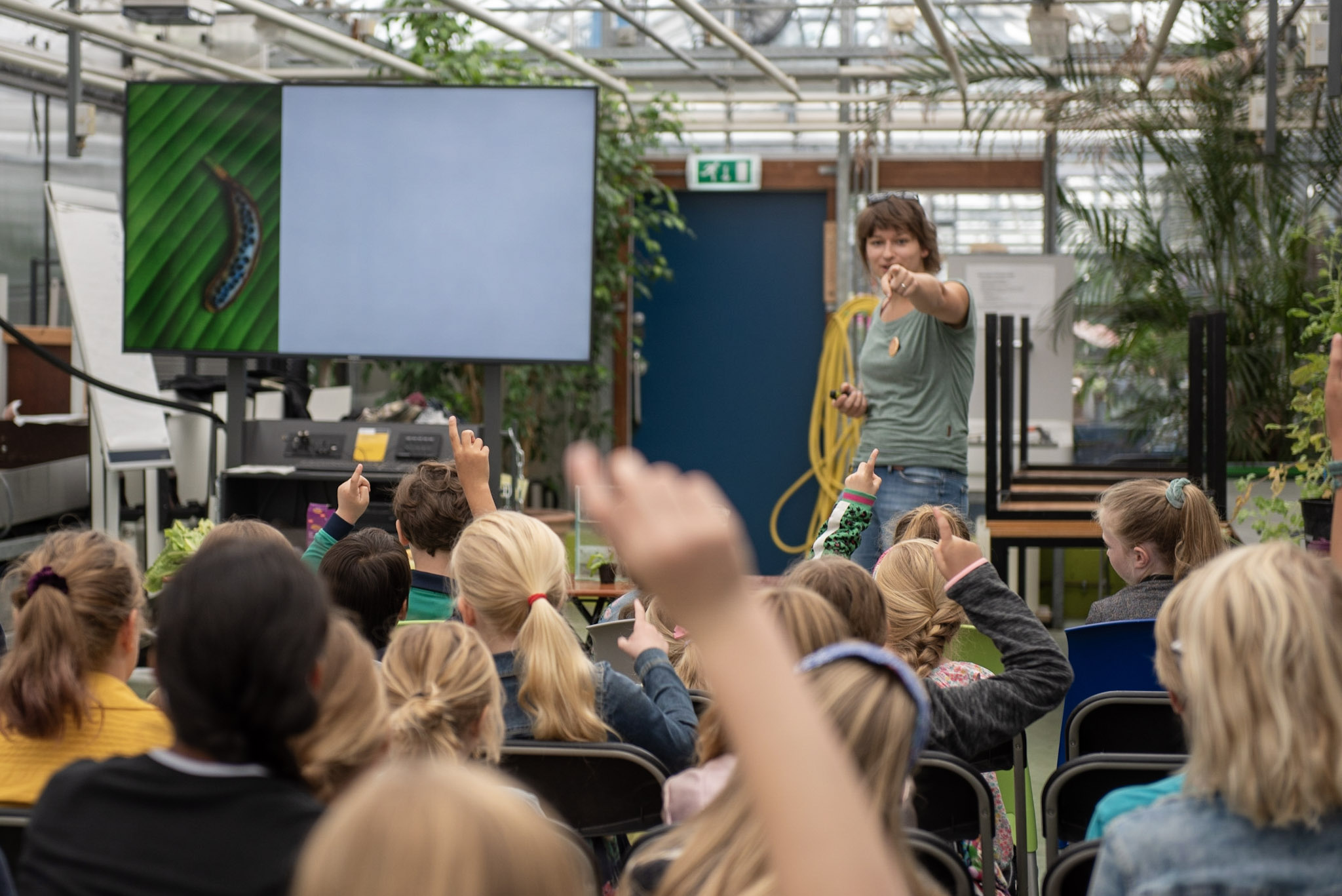 Me teaching a class in the local botanical gardens